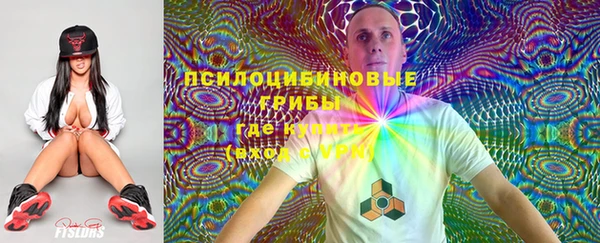 шишки Мурманск